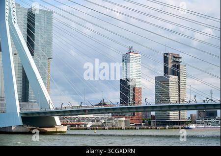 Blick auf die Erasmus-Brücke in Rotterdam, Niederlande Stockfoto