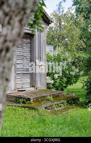 Ein verwitterter Holzschuppen ist von einem Baum eingerahmt und von üppigem grünem Gras und blühenden weißen Hortententenbüschen umgeben. Stockfoto