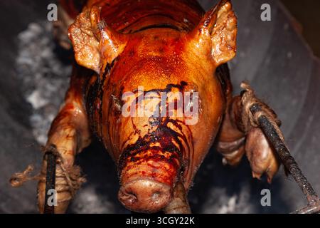 Ein junges Schwein wird auf einer Spucke über Kohlen gebraten. Stockfoto