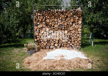 Eine ruhige Outdoor-Szene zeigt eine Person, die friedlich auf einem Strohbett schläft, mit einer weißen Decke vor einer einzigartigen Holzwand-Kulisse in einer üppigen Sommerga Stockfoto