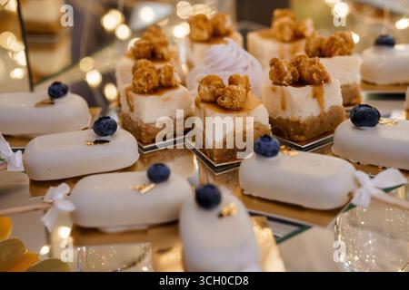 Eine verlockende Nahaufnahme zeigt eine Auswahl an mundgerechten Käsekuchen mit Karamell-Belag und eleganten weißen Schokoladentafeln mit Heidelbeeren, p Stockfoto