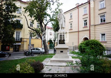Przemysl, Polen - 23. August 2025: Statue von Jan III. In Przemysl, Polen, umgeben von Bäumen und städtischer Architektur Stockfoto