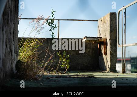 Nahaufnahmen des Verfalls auf der Stahlbetonkonstruktion des Großen Strahov-Stadions in Prag, Tschechische Republik. Stockfoto