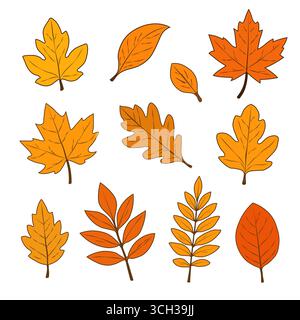 Eine Reihe von Herbstblättern in verschiedenen Formen auf weißem Hintergrund. Stock Vektor