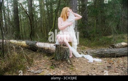 Rothaarige Frau sitzt auf einem Baumstumpf im Wald mit zartem Spitzenstoff ruhige natürliche Atmosphäre sanftes Licht gefallene Bäume friedliche Wälder s Stockfoto