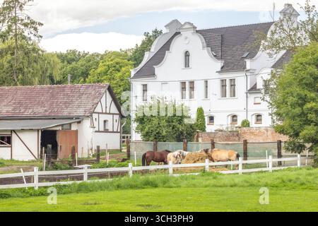 Pferde grasen friedlich auf einer umzäunten Weide auf einem Bauernhof vor dem Hintergrund eines großen weißen Hauses und einer ländlichen Umgebung. Stockfoto