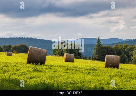 Landschaft von Adrspach-Teplice Rocks, in der Region Hradec Kralove in der Tschechischen Republik, Europa. Heuballen verstreut über ein lebhaftes grünes Feld Stockfoto