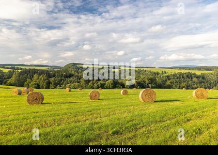 Landschaft von Adrspach-Teplice Rocks, in der Region Hradec Kralove in der Tschechischen Republik, Europa. Goldene Heuballen ruhen auf einem grünen Feld unter A Stockfoto