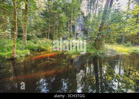 Landschaft von Adrspach-Teplice Rocks, in der Region Hradec Kralove in der Tschechischen Republik, Europa. Ruhiger Waldteich, der die umliegenden Bäume reflektiert Stockfoto