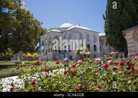Türkei - Istanbul - Enderun Bibliothek - Kuppelportikus und Gartenrosen in strahlender Sonne Stockfoto