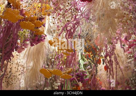 An der Decke hängende Trockenblumen mit allium-Samenköpfen, gelber achillea, rosa Amaranthus, statice, Physalis, Kamille und Gräser. Stockfoto