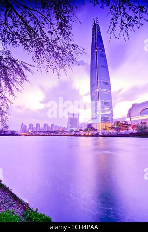 Blick auf die Kirschblüten im Songpa Naru Park in Seoul bei Sonnenuntergang im Frühjahr. Stockfoto