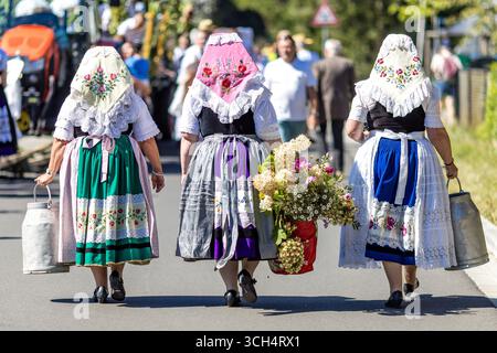31. August 2025, Brandenburg, Burg (Spreewald): Teilnehmer des Trachtenfestes gehen in Trachten und mit Milchkannen zum Ort. Foto: Frank Hammerschmidt/dpa Stockfoto