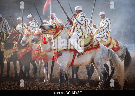 Eine Geschichte von Mut, Einheit und Erbe in einem einzigen Bild. Reiter in bunten marokkanischen Kostümen galoppieren in einer Fantasia-Show auf arabischen Pferden Stockfoto