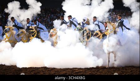 Eine Geschichte von Mut, Einheit und Erbe in einem einzigen Bild. Reiter in bunten marokkanischen Kostümen galoppieren in einer Fantasia-Show auf arabischen Pferden Stockfoto