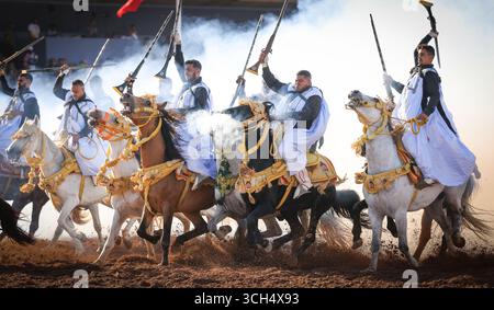Eine Geschichte von Mut, Einheit und Erbe in einem einzigen Bild. Reiter in bunten marokkanischen Kostümen galoppieren in einer Fantasia-Show auf arabischen Pferden Stockfoto
