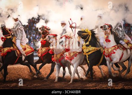 Eine Geschichte von Mut, Einheit und Erbe in einem einzigen Bild. Reiter in bunten marokkanischen Kostümen galoppieren in einer Fantasia-Show auf arabischen Pferden Stockfoto