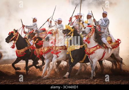 Eine Geschichte von Mut, Einheit und Erbe in einem einzigen Bild. Reiter in bunten marokkanischen Kostümen galoppieren in einer Fantasia-Show auf arabischen Pferden Stockfoto