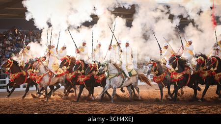 Eine Geschichte von Mut, Einheit und Erbe in einem einzigen Bild. Reiter in bunten marokkanischen Kostümen galoppieren in einer Fantasia-Show auf arabischen Pferden Stockfoto