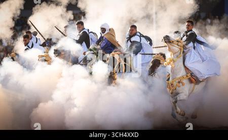 Eine Geschichte von Mut, Einheit und Erbe in einem einzigen Bild. Reiter in bunten marokkanischen Kostümen galoppieren in einer Fantasia-Show auf arabischen Pferden Stockfoto
