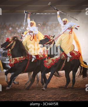 Eine Geschichte von Mut, Einheit und Erbe in einem einzigen Bild. Reiter in bunten marokkanischen Kostümen galoppieren in einer Fantasia-Show auf arabischen Pferden Stockfoto