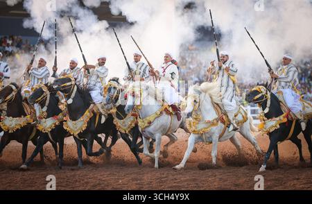 Eine Geschichte von Mut, Einheit und Erbe in einem einzigen Bild. Reiter in bunten marokkanischen Kostümen galoppieren in einer Fantasia-Show auf arabischen Pferden Stockfoto