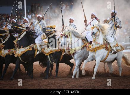 Eine Geschichte von Mut, Einheit und Erbe in einem einzigen Bild. Reiter in bunten marokkanischen Kostümen galoppieren in einer Fantasia-Show auf arabischen Pferden Stockfoto