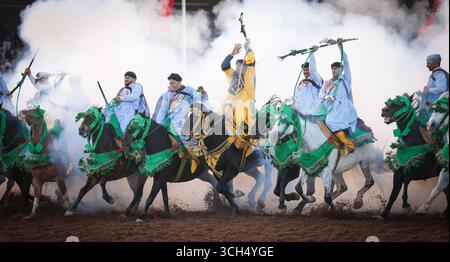 Eine Geschichte von Mut, Einheit und Erbe in einem einzigen Bild. Reiter in bunten marokkanischen Kostümen galoppieren in einer Fantasia-Show auf arabischen Pferden Stockfoto