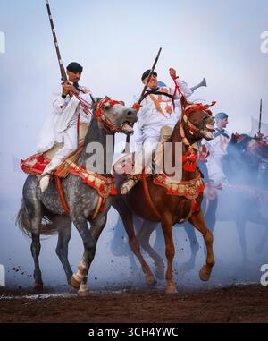Eine Geschichte von Mut, Einheit und Erbe in einem einzigen Bild. Reiter in bunten marokkanischen Kostümen galoppieren in einer Fantasia-Show auf arabischen Pferden Stockfoto