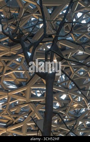 Vereinigte Arabische Emirate - Abu Dhabi - Louvre Abu Dhabi - Hofbaum, der sich unter Lichteinfall in Richtung des gemusterten Baldachins erstreckt Stockfoto