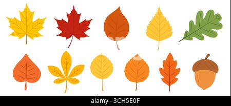 Herbstlaub von verschiedenen Bäumen, Eiche, Ahorn, Kastanien. Einfaches, gelbes, rotes, orangefarbenes Herbstblatt-Set für Muster, Banner, Aufkleber, Hello Herbst Stock Vektor
