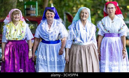 31. August 2025, Brandenburg, Burg (Spreewald): Teilnehmer der Trachtenparade im Rahmen des Heimat- und Trachtenfestes kommen am Aufstellort an. Foto: Frank Hammerschmidt/dpa Stockfoto