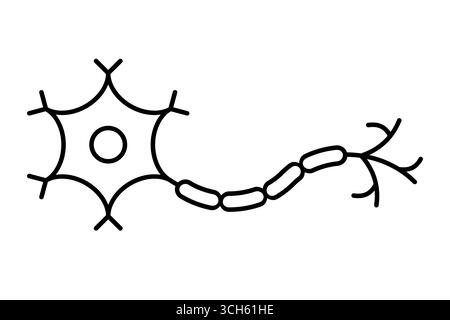 Neuronenlinie Symbol. Nervenzelle mit Axon, Dendriten und Zellkörper. Gehirnzellen, Synapsen, Nervensystem und Kommunikation zwischen Neuronen. Vektor Stock Vektor