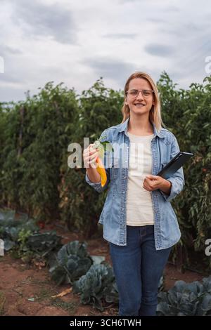 Landwirt, der eine Chilischote und eine Tablette auf einem Tomaten- und Kohlefeld hält Stockfoto
