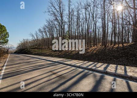 Das Winterlicht wirft lange Schatten von Bäumen auf die ruhige Straße in Cuacos de Yuste und schafft eine ruhige und ruhige Atmosphäre. Stockfoto