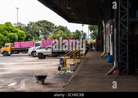 Marilia, Sao Paulo, Brasilien, 24. April 2025. Ein Arbeiter entlädt Plastikkisten voller Tomaten aus einem LKW in einem Obst- und Gemüselager im Cit Stockfoto