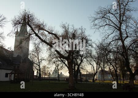 29. Dezember 2023 - Targu Mures, Rumänien: Sonnenuntergang im Targu Mures Park Stockfoto