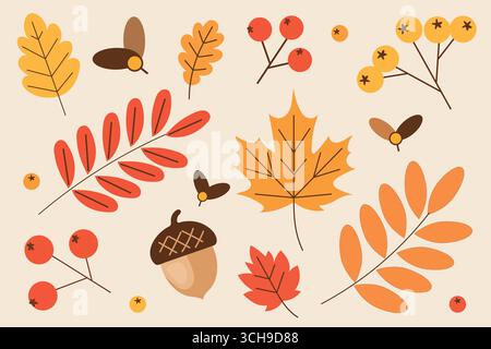 Satz Herbstblätter und Nüsse.Vektor Illustration. Stock Vektor