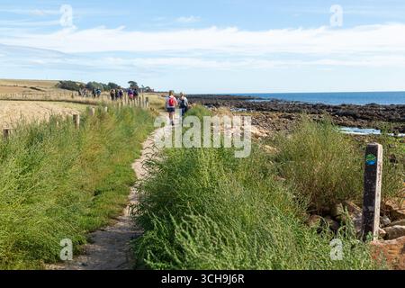Wanderer auf dem Fife Coastal Path zwischen Anstruther und Crail, Fife, Schottland Stockfoto