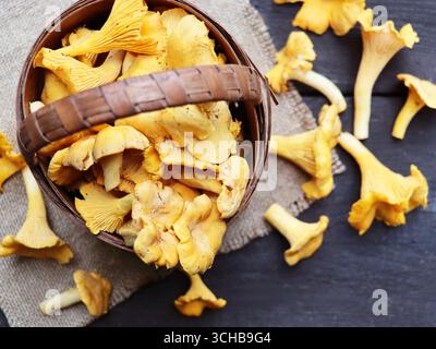 Rohe wilde Pfifferlinge im Korb auf altem rustikalem hölzernem Hintergrund. Frische Bio-Pfifferlinge auf einem Holztisch. Stockfoto