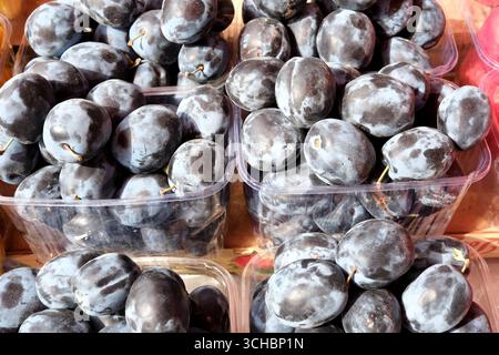Pralle dunkle Pflaumen werden sorgfältig in klaren Behältern auf einem geschäftigen Markt angeordnet. Stockfoto