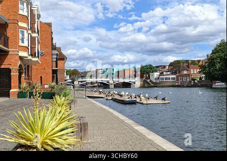Am Flussufer von Windsor und Eton an einem sonnigen Sommertag Berkshire England Großbritannien Großbritannien Stockfoto