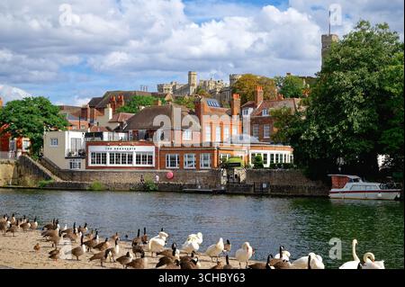 Außenansicht des Brasserie Restaurants im Sir Christopher Wren Hotel an der Themse in Windsor mit dem Schloss an der Skyline von Berkshire England Stockfoto