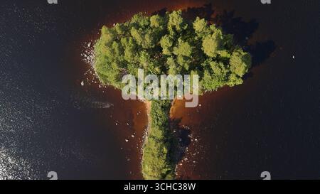Drohnenansicht der Insel im See, geformt wie ein Baum des Lebens Stockfoto