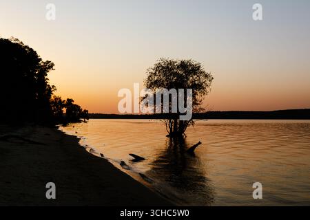 Die Sonne geht unter und wirft ein goldenes Leuchten über einen einzelnen Baum, der im Wasser wächst, Eine ruhige Seeszene. Ein ruhiger Sonnenuntergang wirft goldene Farbtöne über einem ruhigen Teich. Stockfoto