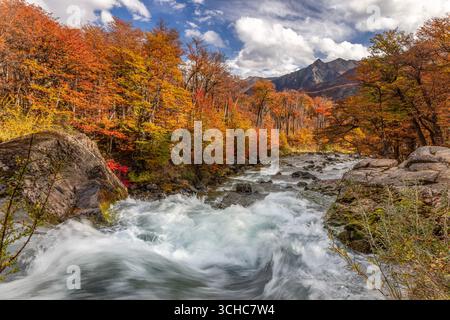 Salto Argentino Wasserfall in der Nähe von El Chalten im Tal des Rio de las Vueltas, außerhalb des Nationalparks Los Glaciares in der patagonischen Region Arg Stockfoto