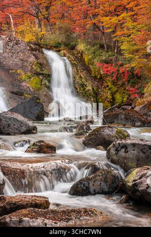 Salto Argentino Wasserfall in der Nähe von El Chalten im Tal des Rio de las Vueltas, außerhalb des Nationalparks Los Glaciares in der patagonischen Region Arg Stockfoto