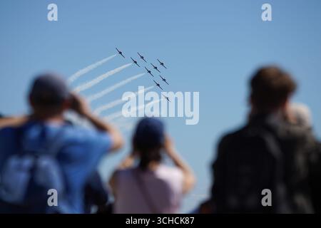 Toronto, Kanada. 31. August 2025. Die Zuschauer beobachten von der Küste von Toronto aus, mit Blick auf den Himmel, während die Canadian Forces Snowbirds auf der Canadian International Air Show eine atemberaubende Luftschau zeigen. Am 31. August 2025 in Toronto, Kanada. (Foto: Leonardo Ramirez/Eyepix Group/SIPA USA) Credit: SIPA USA/Alamy Live News Stockfoto