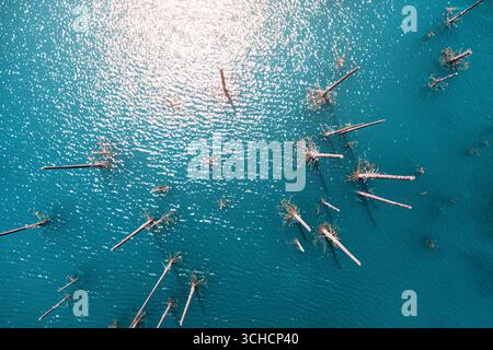 Aus der Vogelperspektive auf türkisfarbenem Wasser mit untergetauchten Bäumen im Kaindy-See, Kasachstan Stockfoto