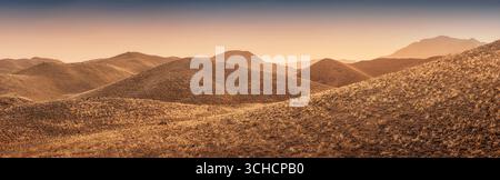 Malerische Hügel, die sich über eine weite Wüstenlandschaft erstrecken, mit trockenem Gras, das in den warmen Glanz des Sonnenuntergangs getaucht ist, bieten eine atemberaubende Aussicht Stockfoto